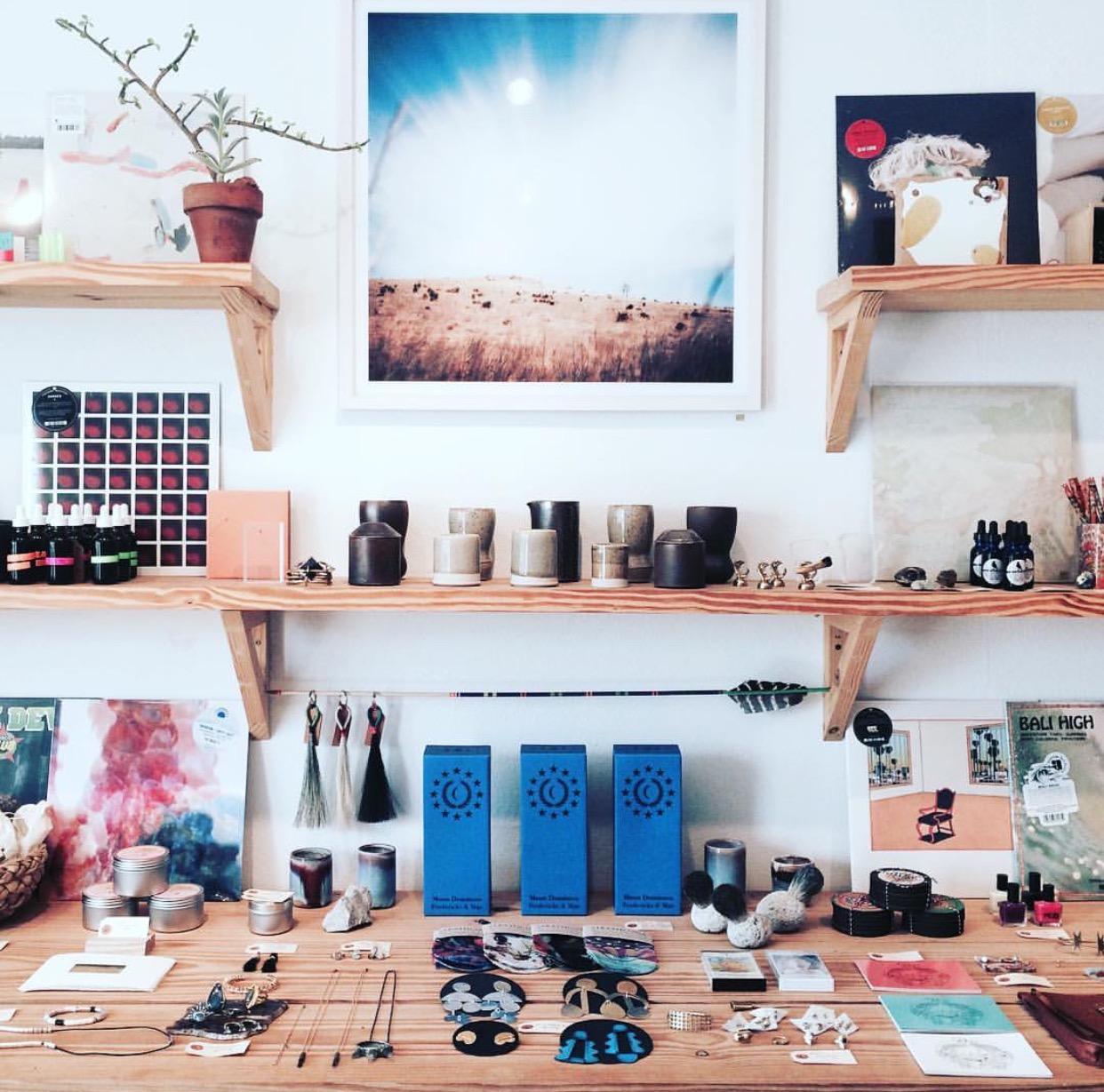 fashionveggie in marfa freda shop